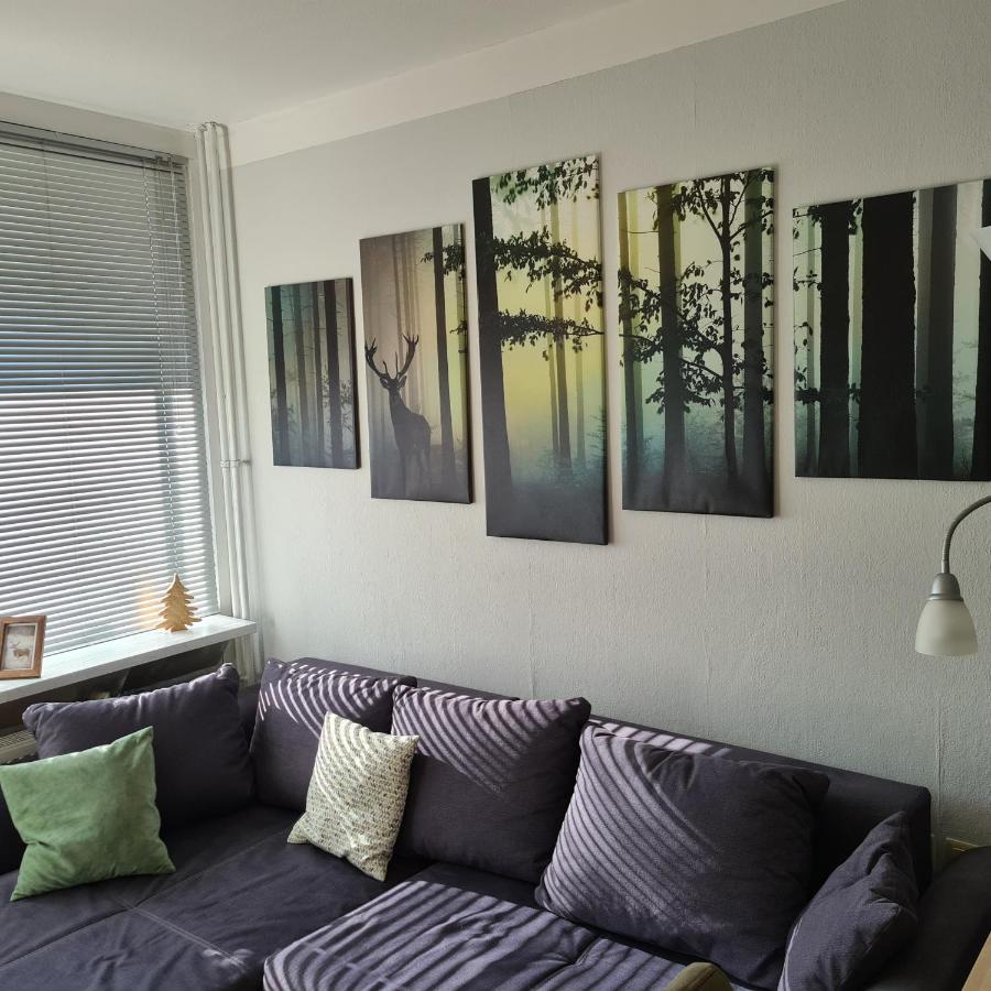 Appartement 7 101 戈斯拉尔 外观 照片