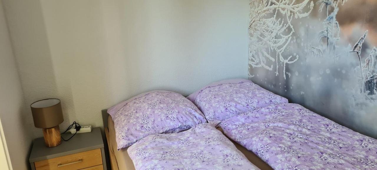Appartement 7 101 戈斯拉尔 外观 照片
