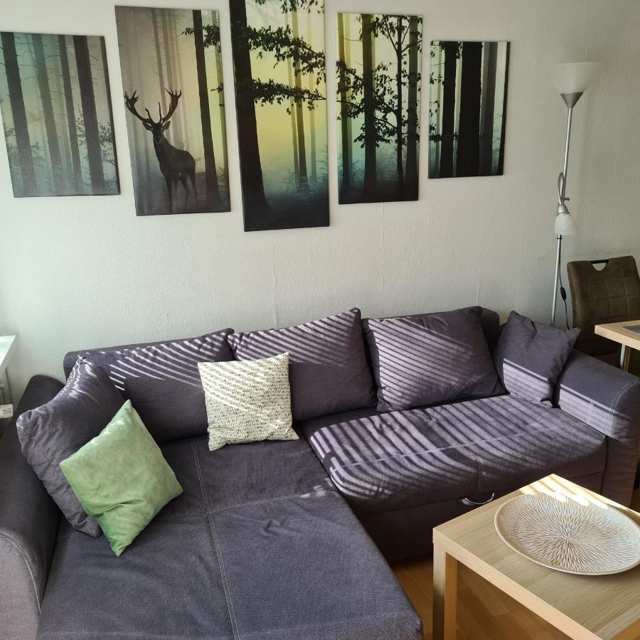 Appartement 7 101 戈斯拉尔 外观 照片