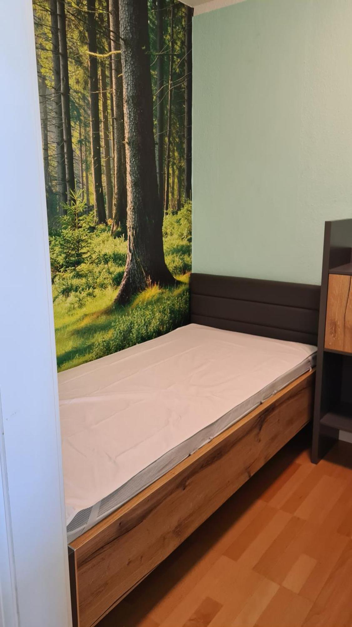 Appartement 7 101 戈斯拉尔 外观 照片